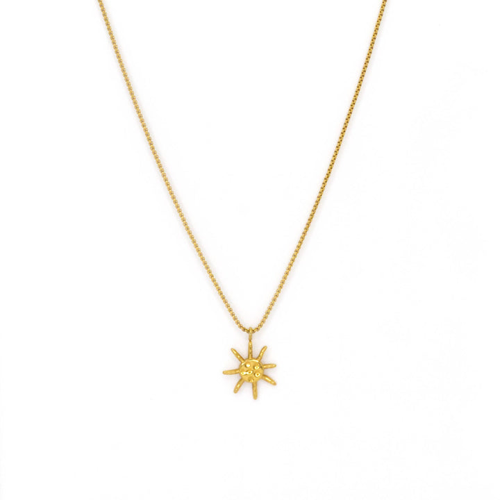 Salty Cali Sole Necklace Silver