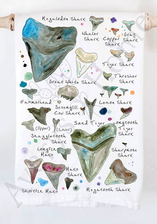 Shark Tooth / Teeth Names Ocean Souvenir Tea Towel