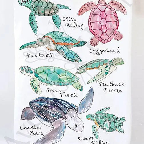 Sea Turtles Ocean Kitchen Towel