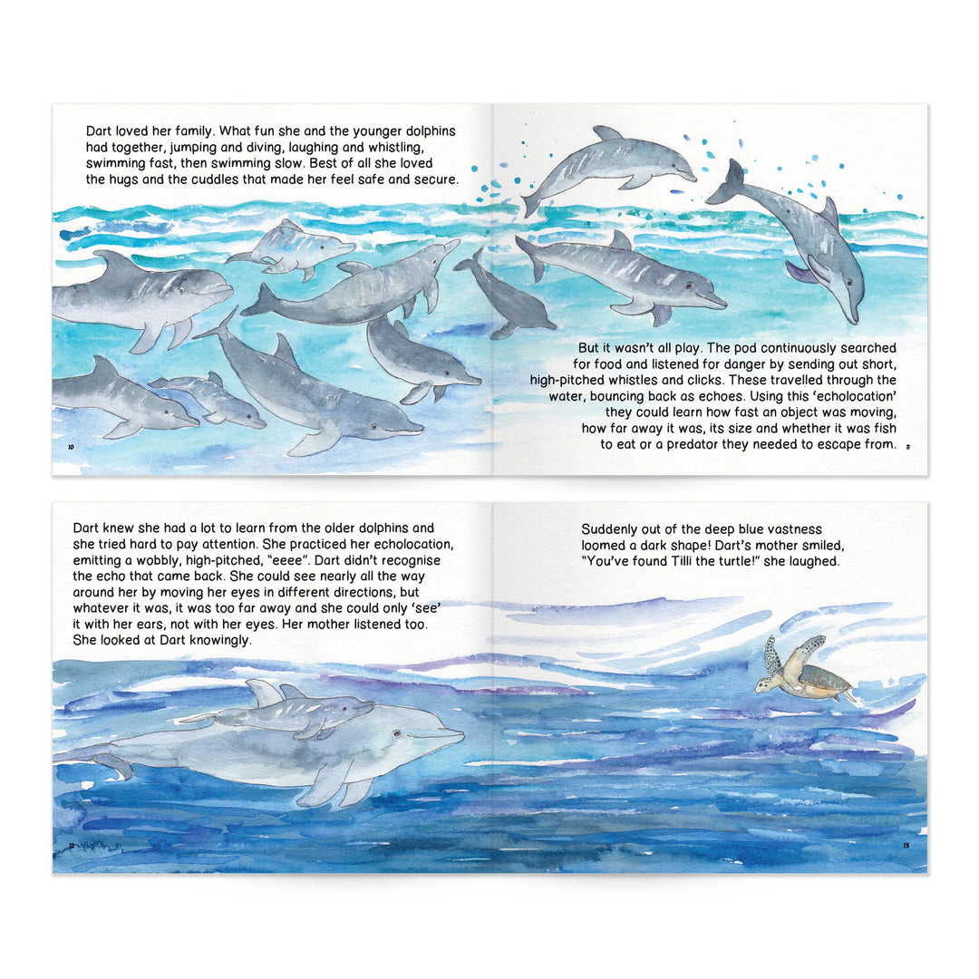 Dolphin Discovery Storybook