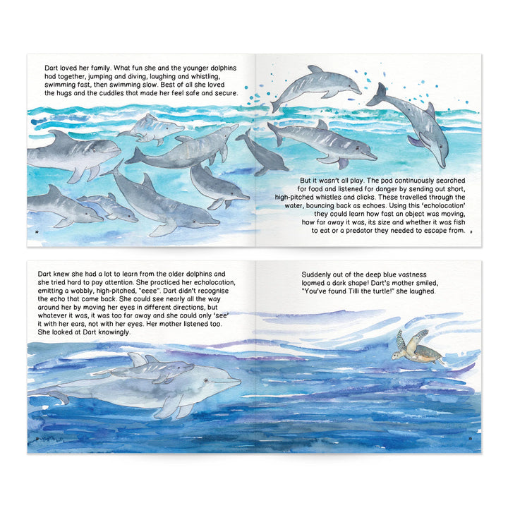 Dolphin Discovery Storybook