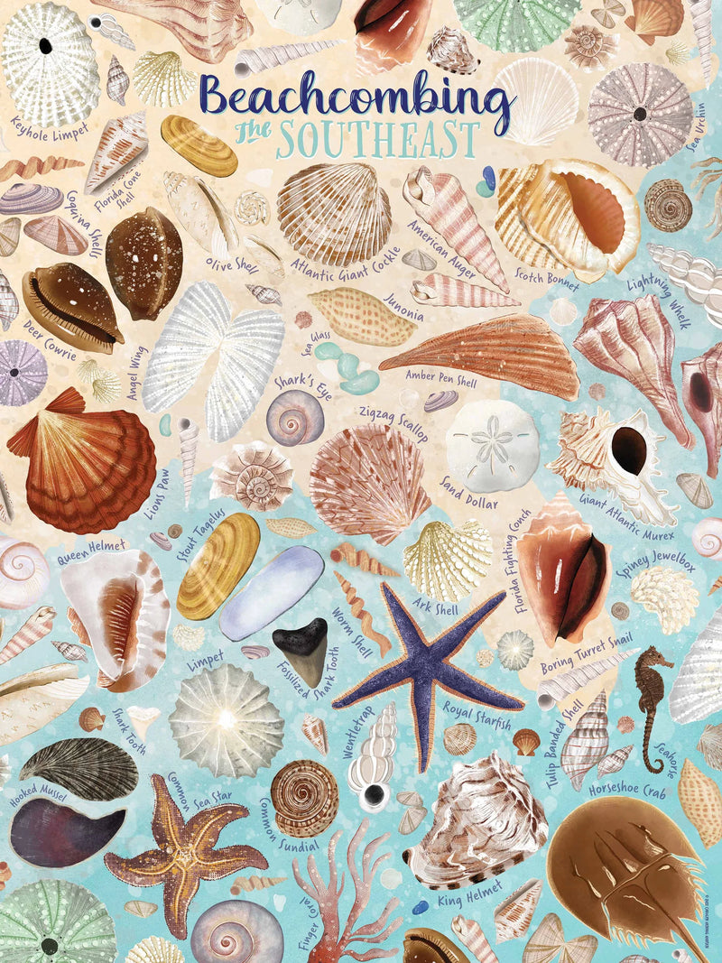 True South Puzzle Beachcombing