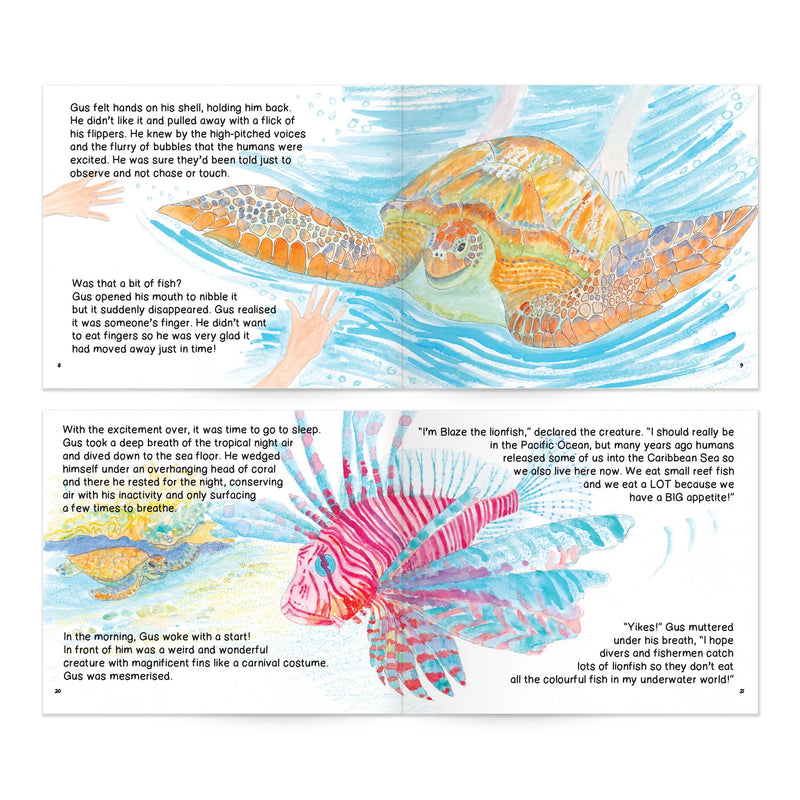 Turtle Trips: Storybook