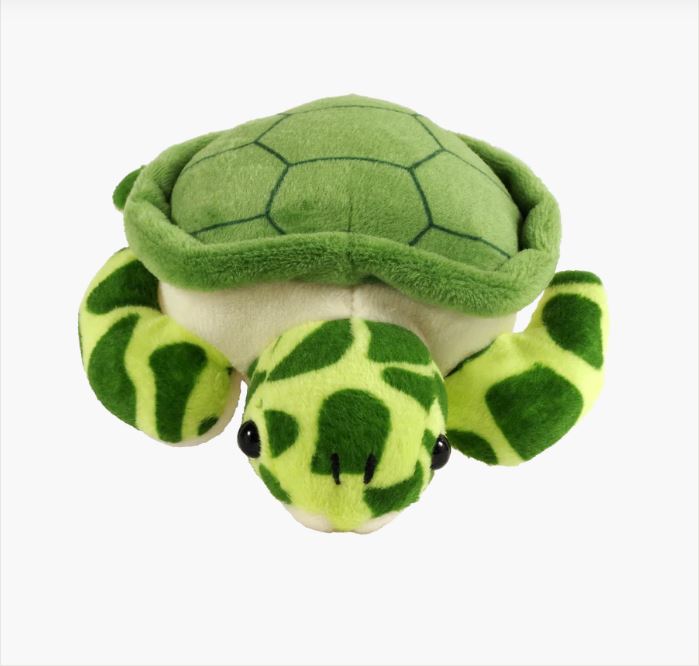 Hug a Sea Turtle Kit