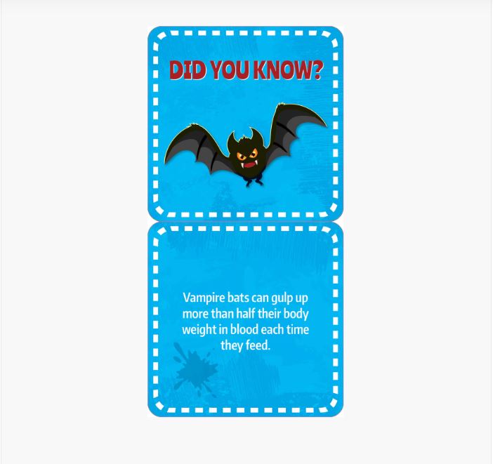 Lunch Box Notes Gross Facts
