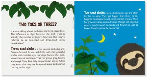 Hug a Sloth Rescue Kit