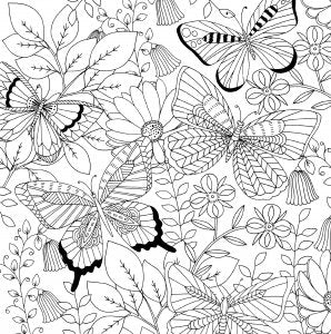 Follow Your Dreams Womens  Coloring Book