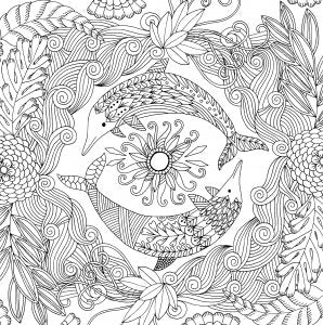 Follow Your Dreams Womens  Coloring Book