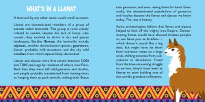 Hug a Llama Rescue Kit