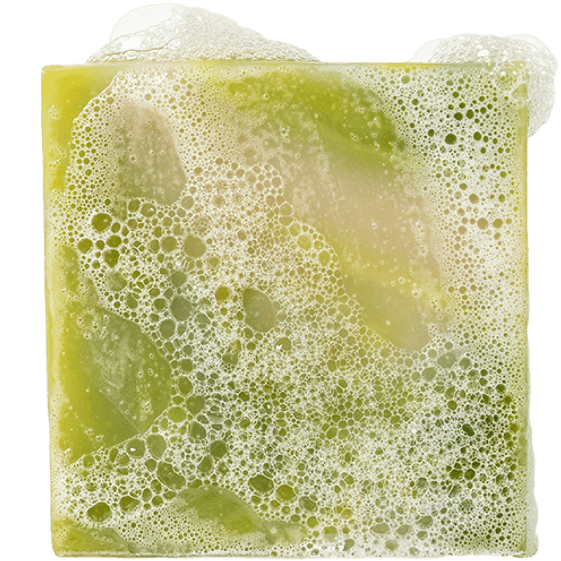 Dr. Squatch Cool Fresh Aloe Bar Soap