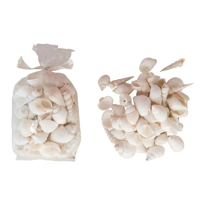 FINAL SALE Shells in Bag, White (Bag Contains 22 oz.)