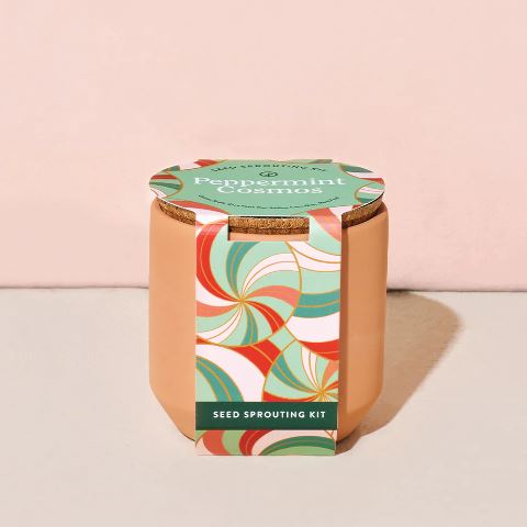 FINAL SALE Modern Sprout Tiny Terracotta Kit - Peppermint Cosmos