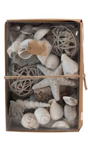 FINAL SALE Approximately 2-1/4"H Assorted Shells & Rattan Orbs in Kraft Box, White